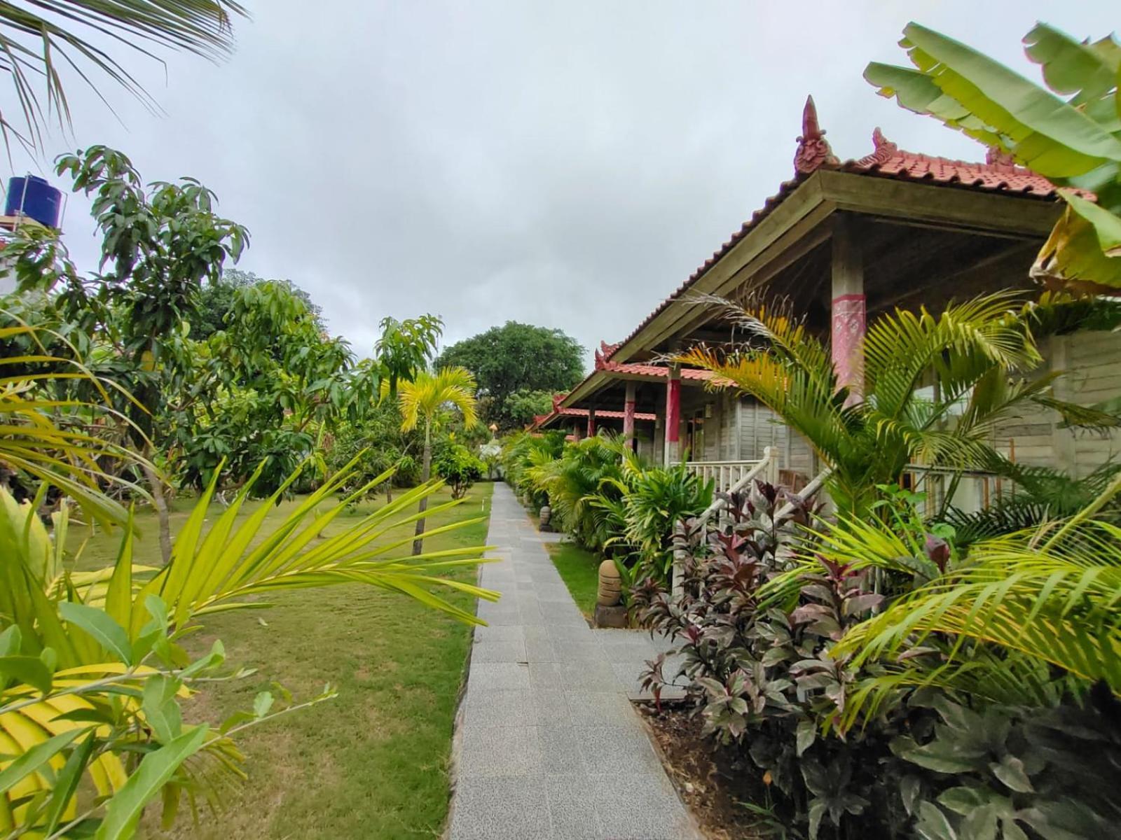 The Canda Mushroom Beach Lembongan Exterior foto